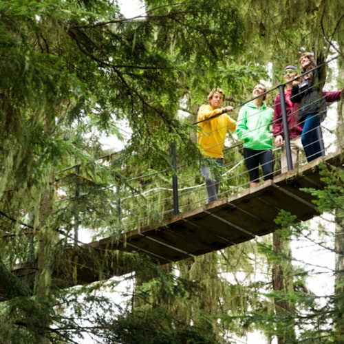 Whistler ZipTrek Ecotours: Aventura TreeTrek
