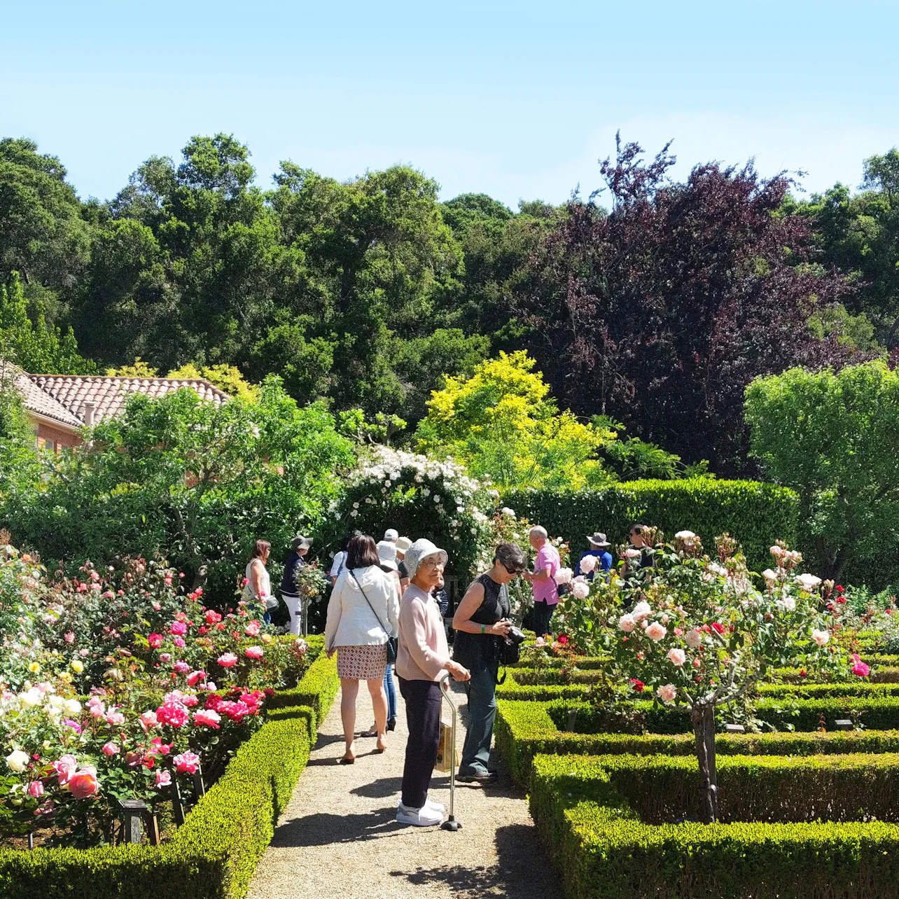 Filoli Historic House & Garden: Entry Ticket in Woodside β Tiqets