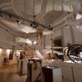 Leonardo3-museets store sal