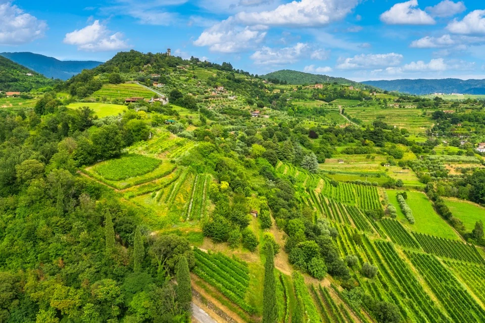 Franciacorta Wine Region