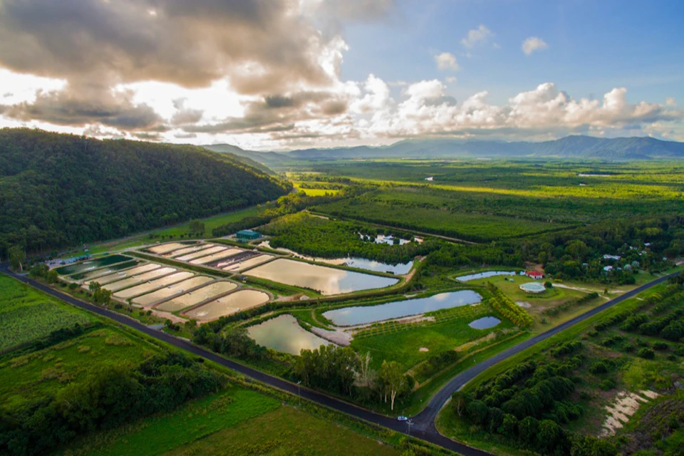 Areal of our beautiful saltwater farm.