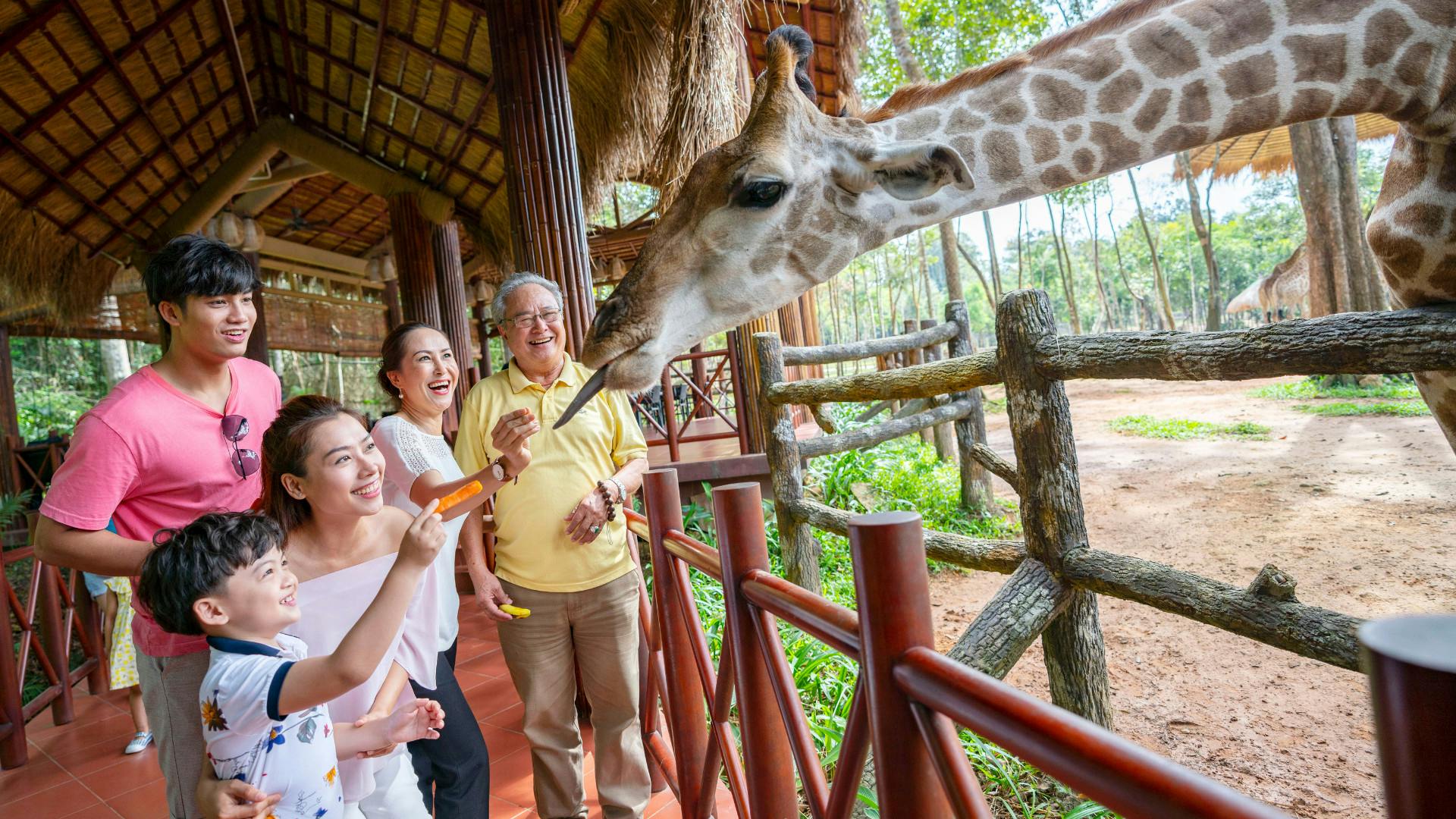 A family feeding a giraffe at a zoo, standing on a covered platform with wooden railings, greenery visible in the background.