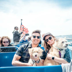 Chicago: Canine Cruise