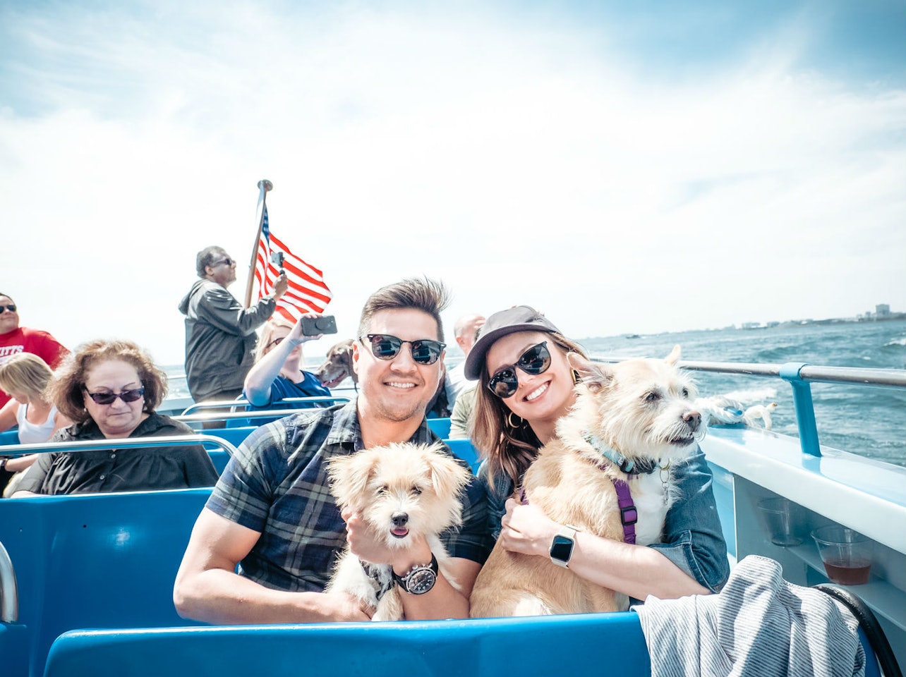 Chicago: Canine Cruise - Accommodations in Chicago