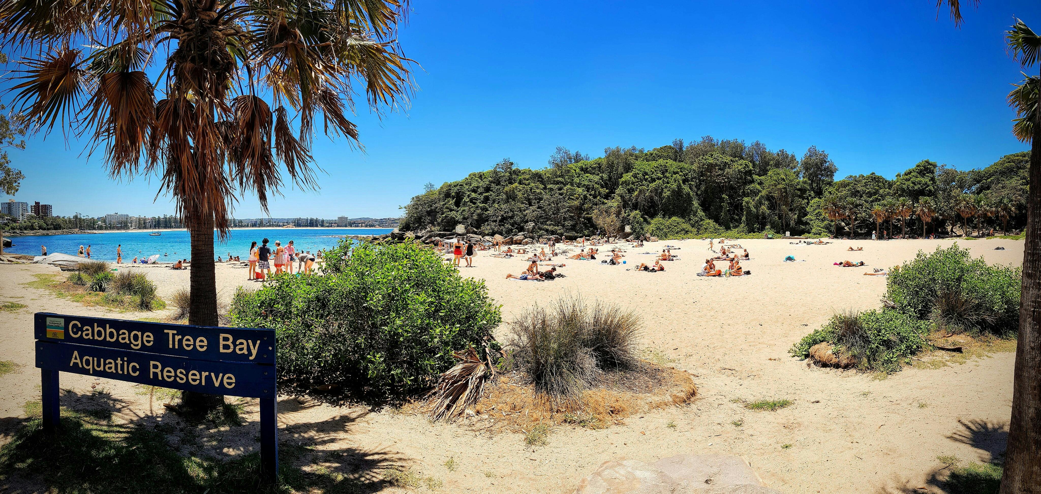 A beach with people sunbathing and swimming, surrounded by palm trees and a sign reading "Cabbage Tree Bay Aquatic Reserve."