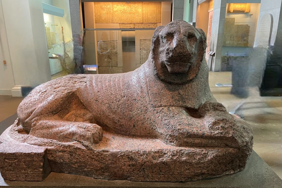 A large stone sculpture of a lion in a museum setting, with other artifacts and display cases visible in the background.