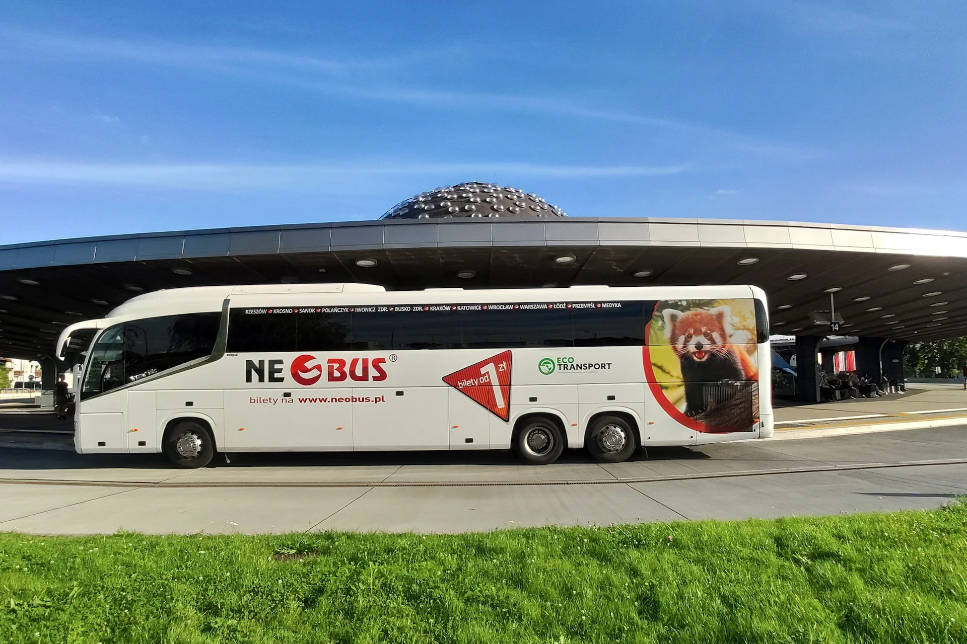 Neobus Buses