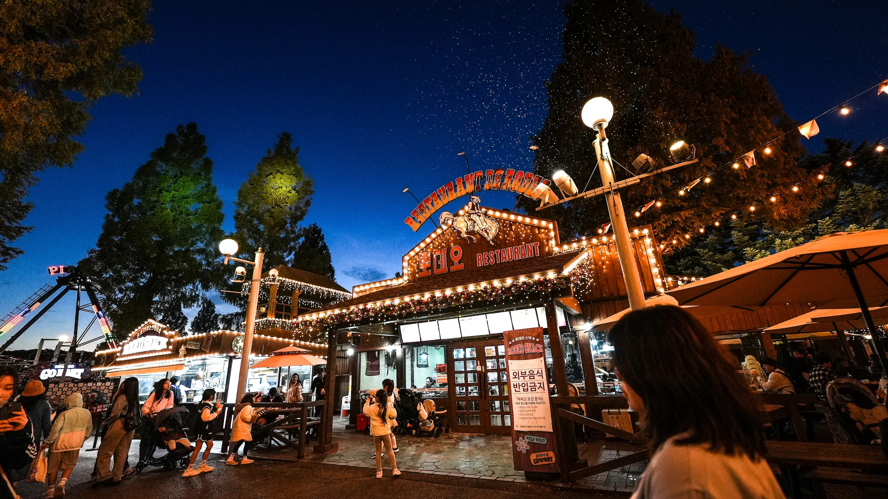 Seoul Land Theme Park: 1-Day Pass + Seoul Zoo Ticket