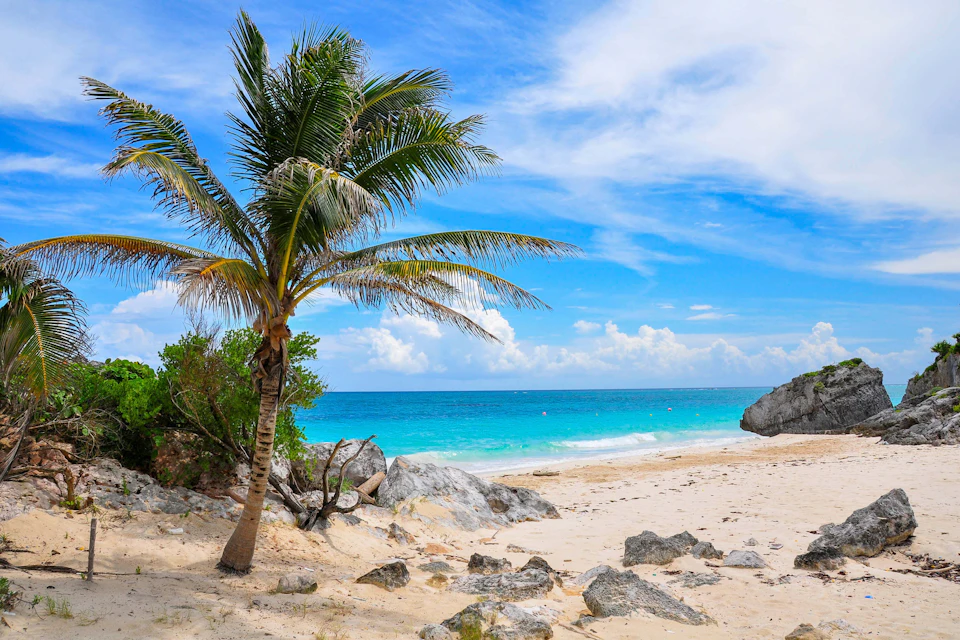 A tropical beach scene with a palm tree, rocks, and turquoise ocean under a partly cloudy, blue sky.