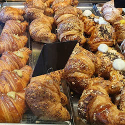 Florence: Guided Food Tour + Tastings + All’Antico Vinaio Skip The Line Access 3
