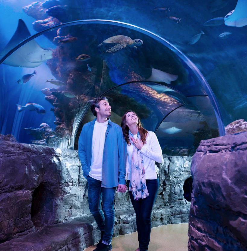 SEA LIFE Orlando & Madame Tussauds: Entry Ticket