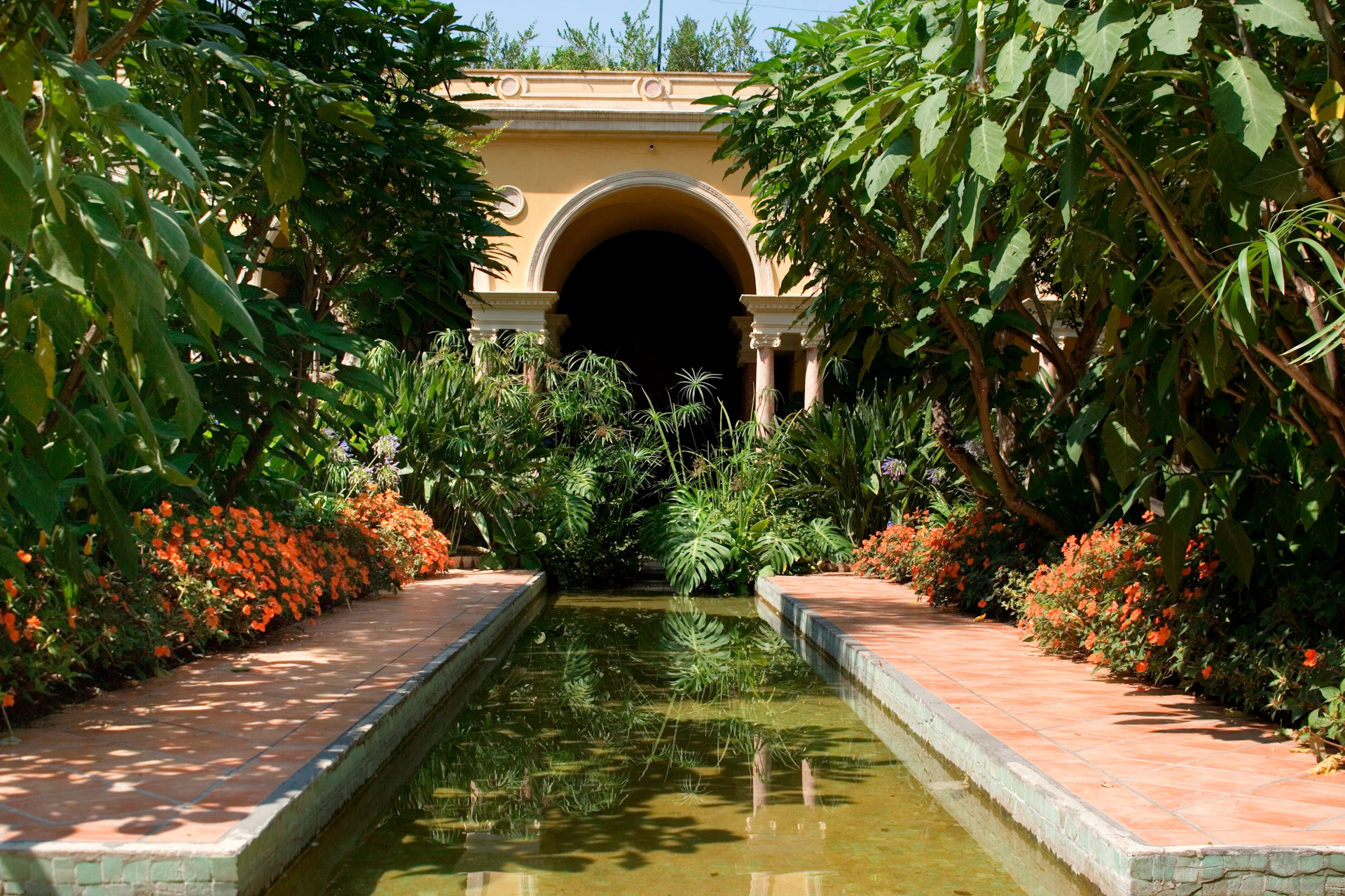 garden