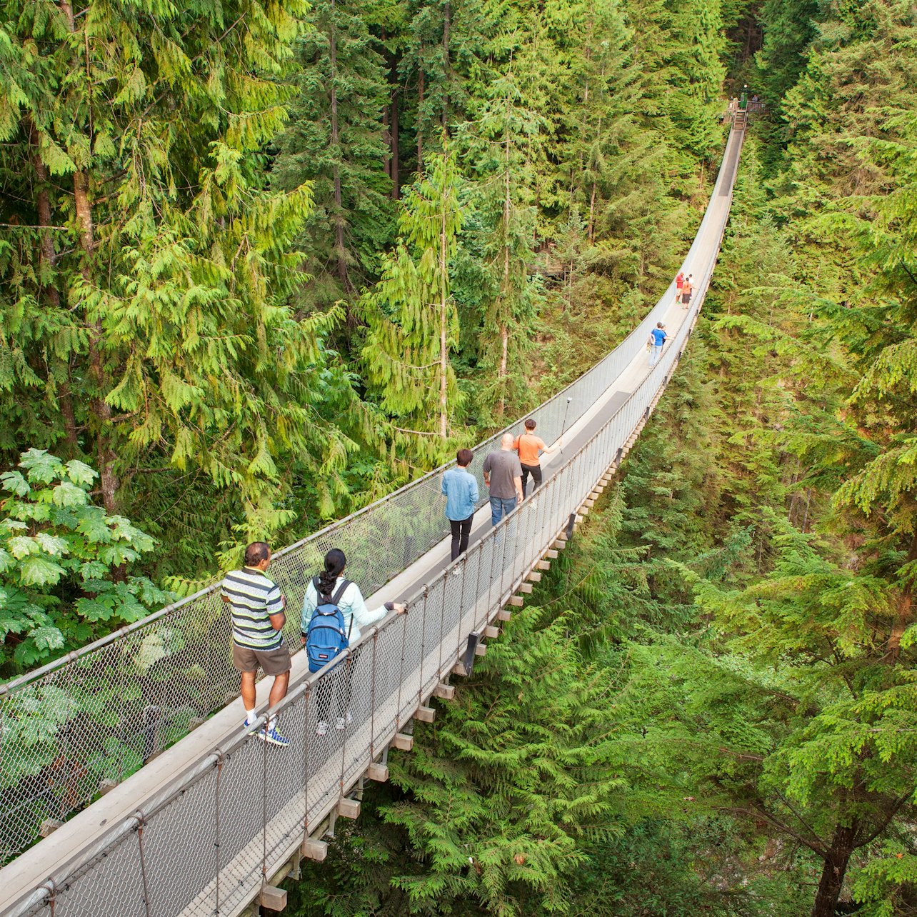 Vancouver Highlights Tour with Vancouver Lookout & Capilano Suspension Bridge - Accommodations in Vancouver