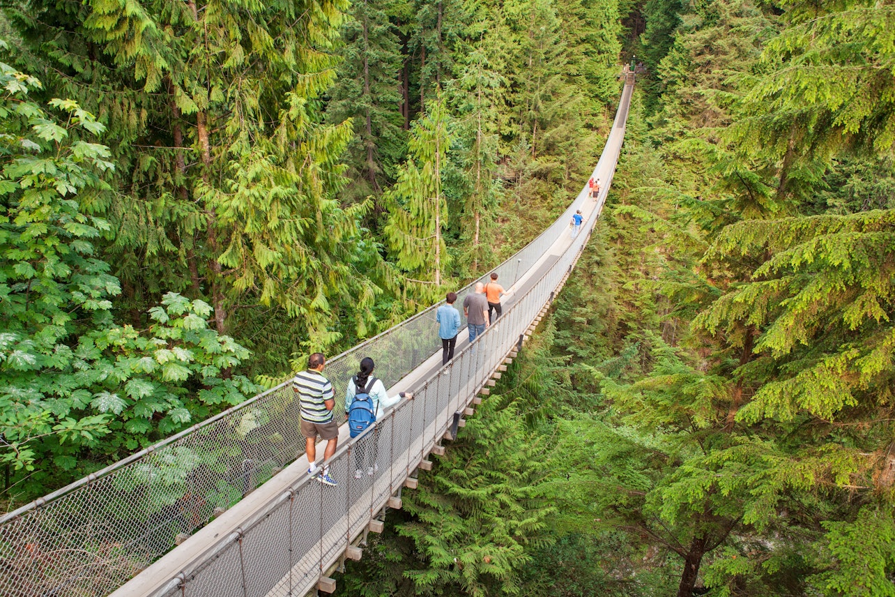 Tour dei punti salienti di Vancouver con Vancouver Lookout e Capilano Suspension Bridge - Alloggi in Vancouver