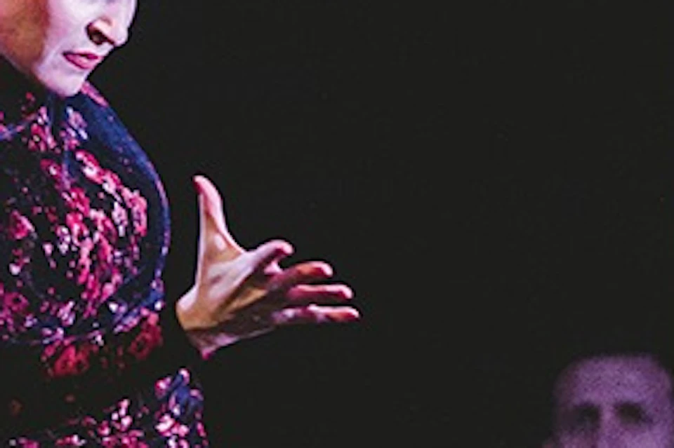 Flamenco artists in Granada