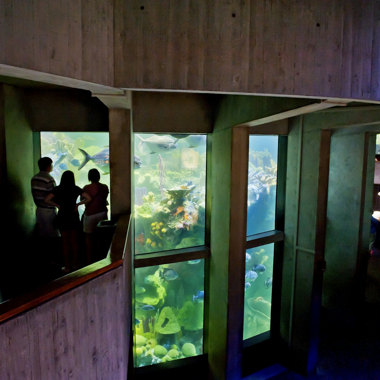 Gallery image 9
