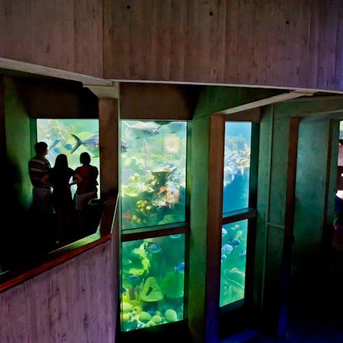 New England Aquarium: Entry Ticket - Photo 12