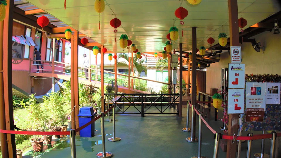 Covered walkway decorated with hanging pineapple-shaped ornaments, plants along the sides, and a blue trash bin visible.
