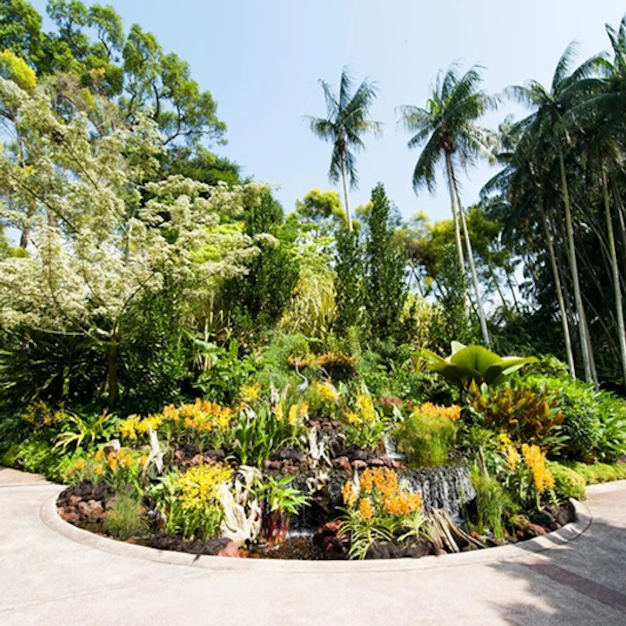 Singapore National Orchid Garden Tickets in Singapore β Tiqets