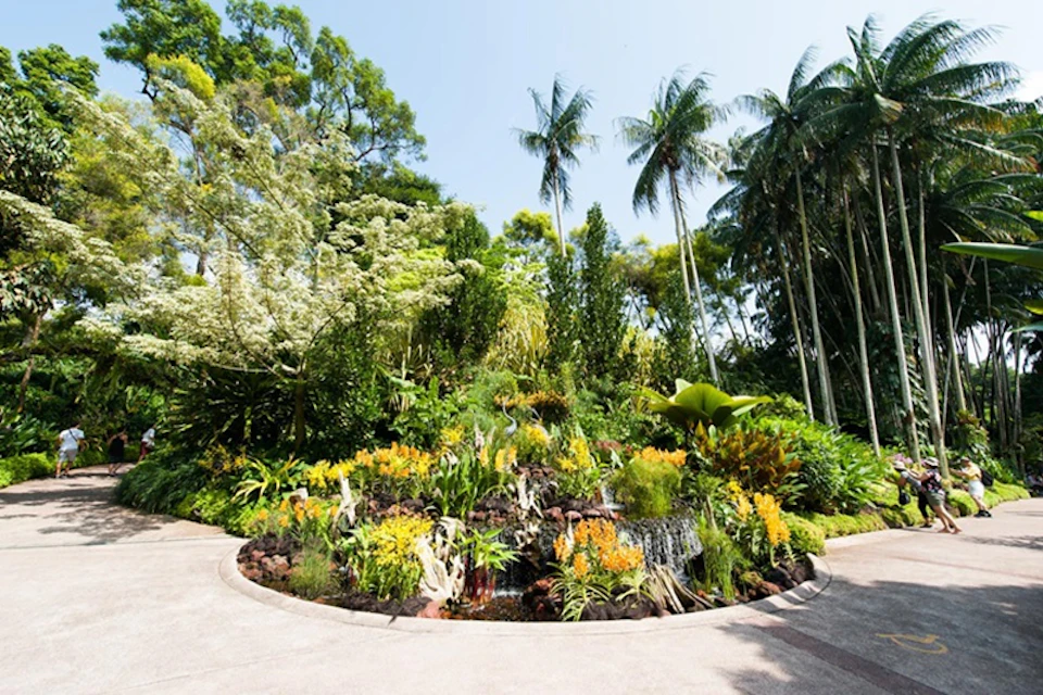A circular garden bed with yellow flowers, surrounded by lush greenery and tall palm trees under a clear sky.