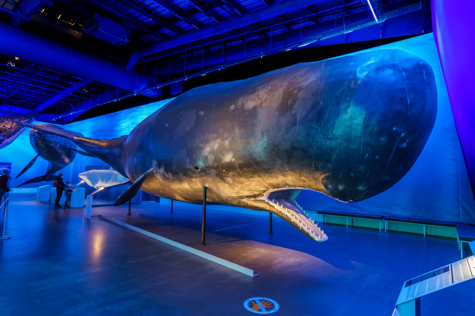 Museum Interior
