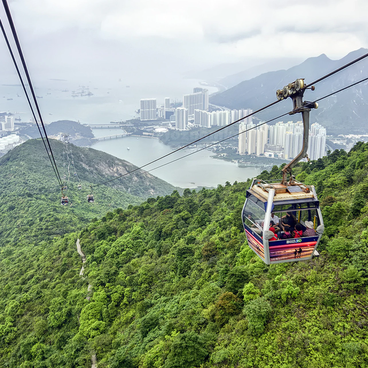 Ngong Ping Cable Car Roundtrip: One-way Standard + One-way Crystal Plus Cabin in Lantau Island β Tiqets