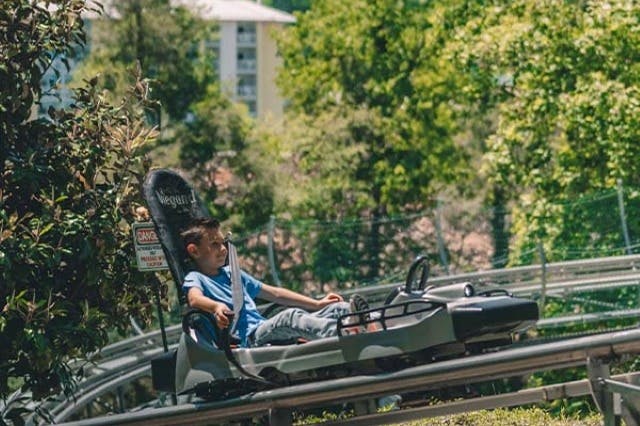 Ripley 's Aquarium of the Smokies συν δύο ή τρία επιπλέον αξιοθέατα