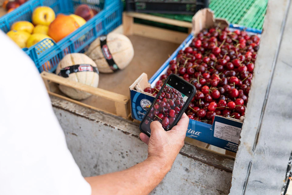 Admire local delicacies