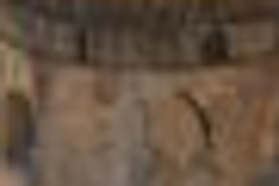 The text you provided is “s”, which is already in English and does not need to be translated.