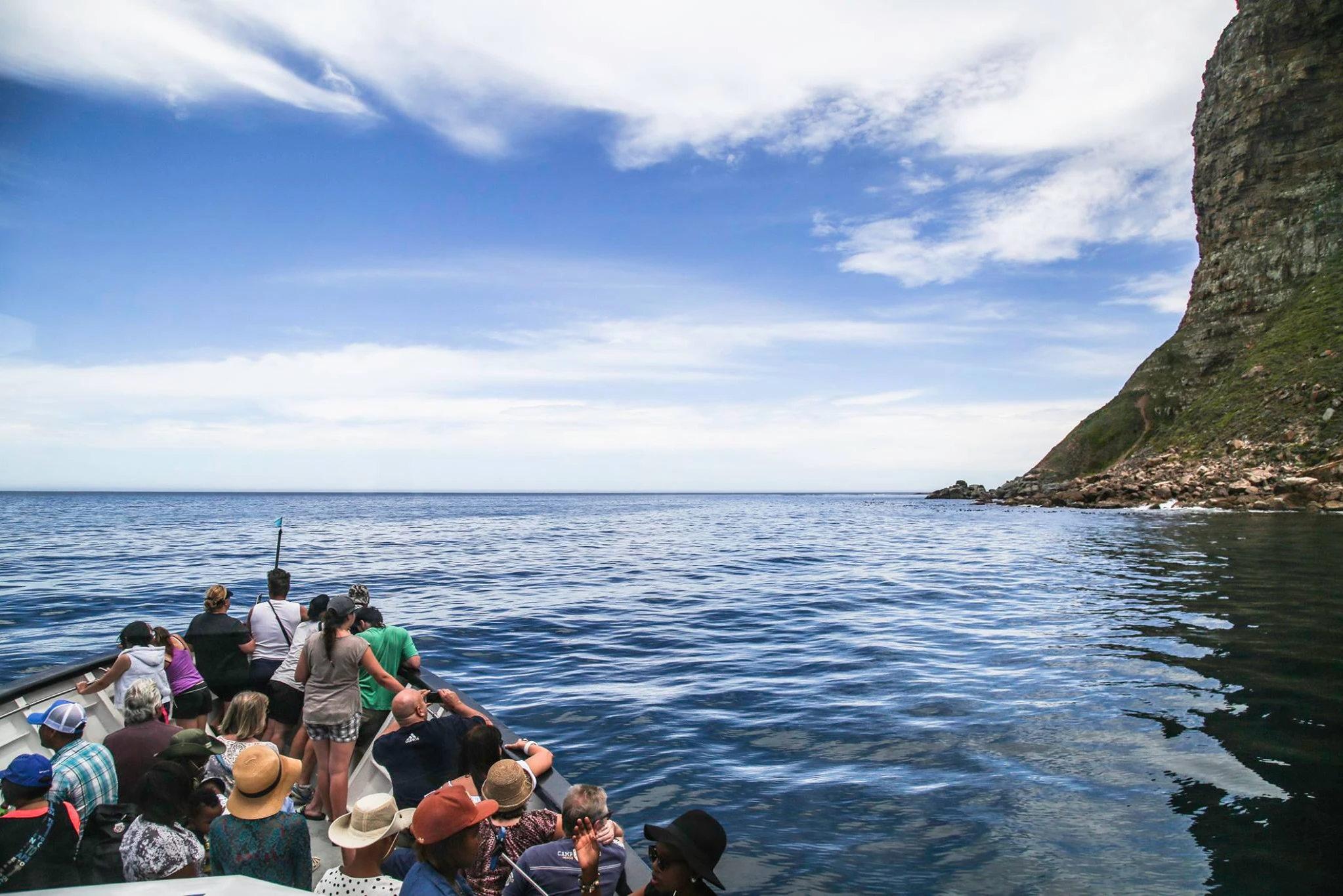 Ilha Duiker: Cruzeiro de observação de focas