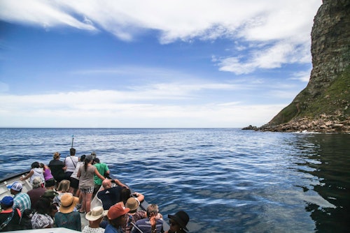 Duiker Island: Seal Sightseeing Cruise