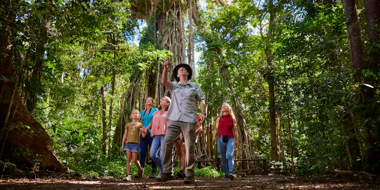 Un grupo de seis personas está explorando un bosque frondoso y denso con árboles altos y lianas colgantes. Una persona señala hacia arriba.
