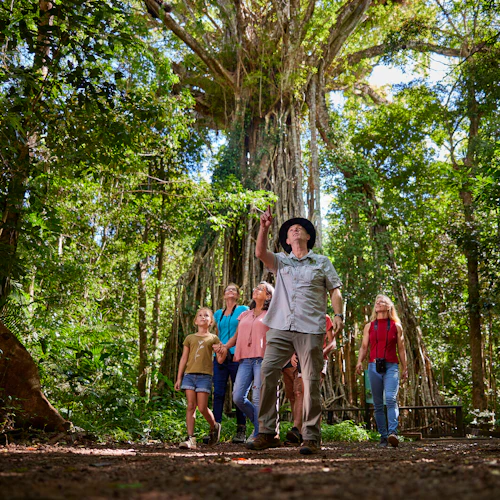 Kuranda, Scenic Rail & Skyrail: Full Day Tour from Cairns