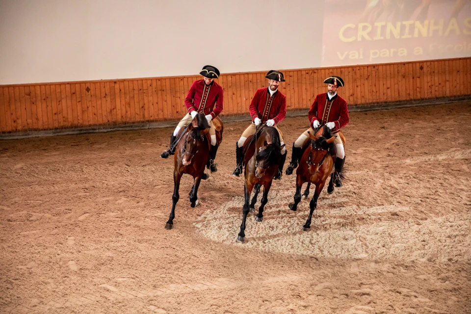 Parques de Sintra - Montes da Lua