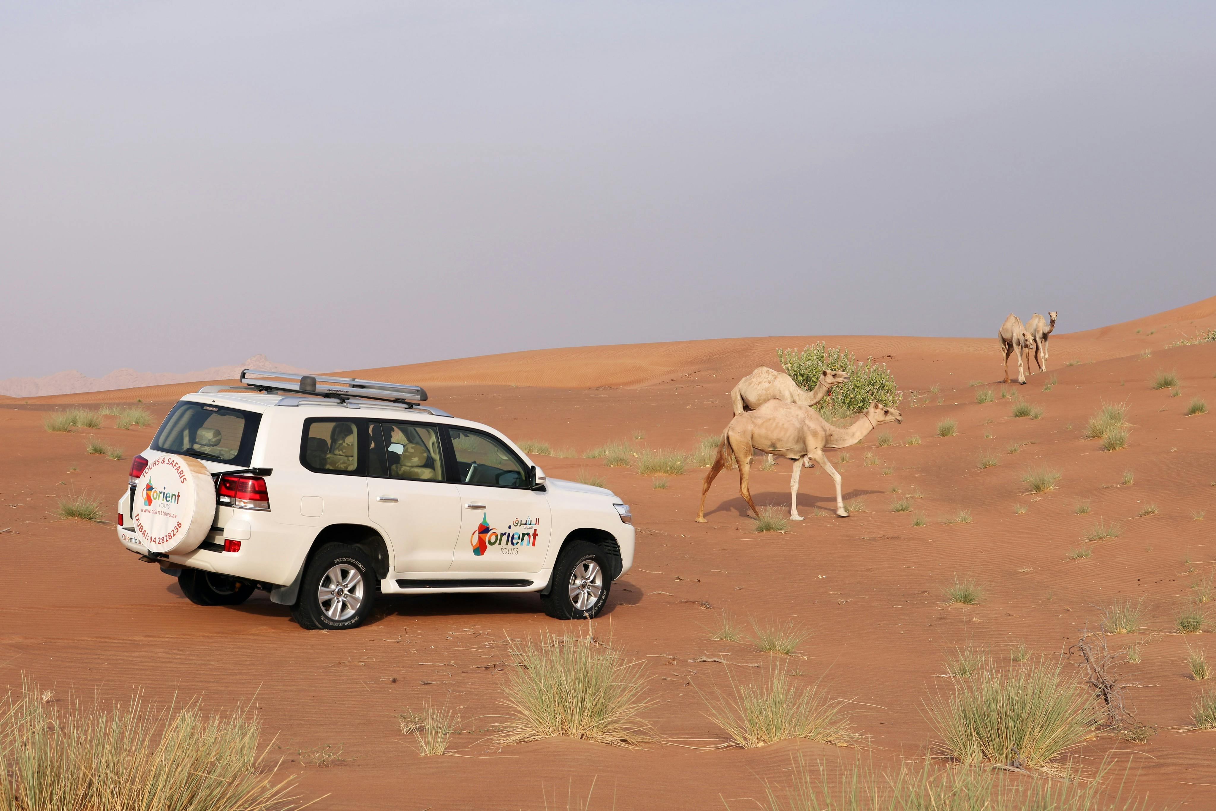 Orient Tours Dubai - Sunrise Desert Safari