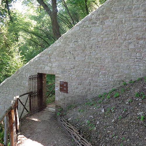 Bosco di San Francesco: Entry Ticket