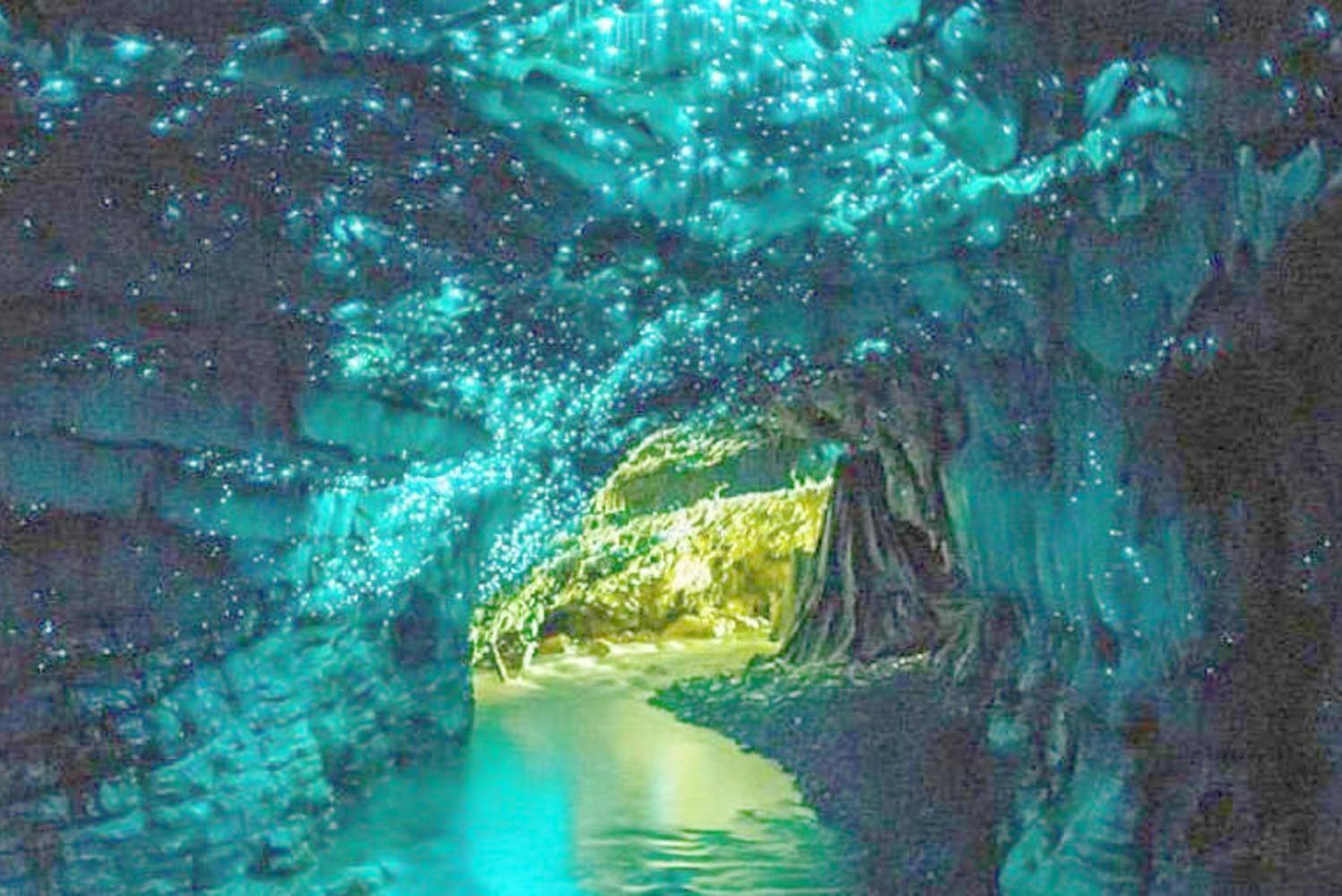 Waitomo Glowworm Caves: Entry Ticket + Guided Tour