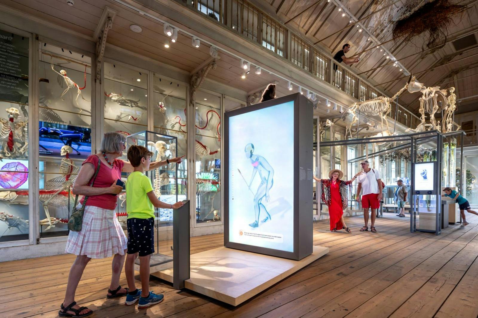 Visitors interact with a display in a museum featuring a digital screen and exhibits of animal skeletons and models.