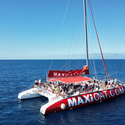 Tenerife: Passeio de catamarã para observação de golfinhos e baleias + almoço + transferes - Photo 6