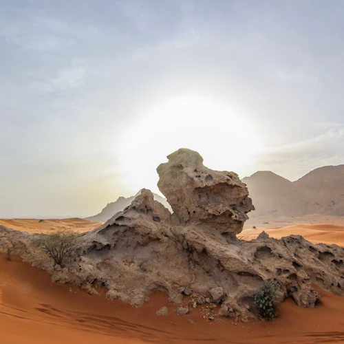 Hatta Safari saindo de Dubai: Barragem, Heritage Village, Honey Garden e café da manhã - Photo 3