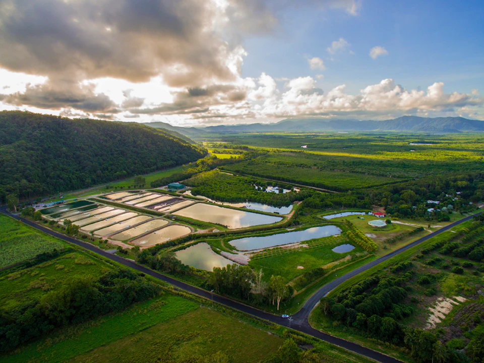 Aerial view of a lush landscape with multiple ponds, green fields, a winding road, and distant mountains under a partly cloudy sky.