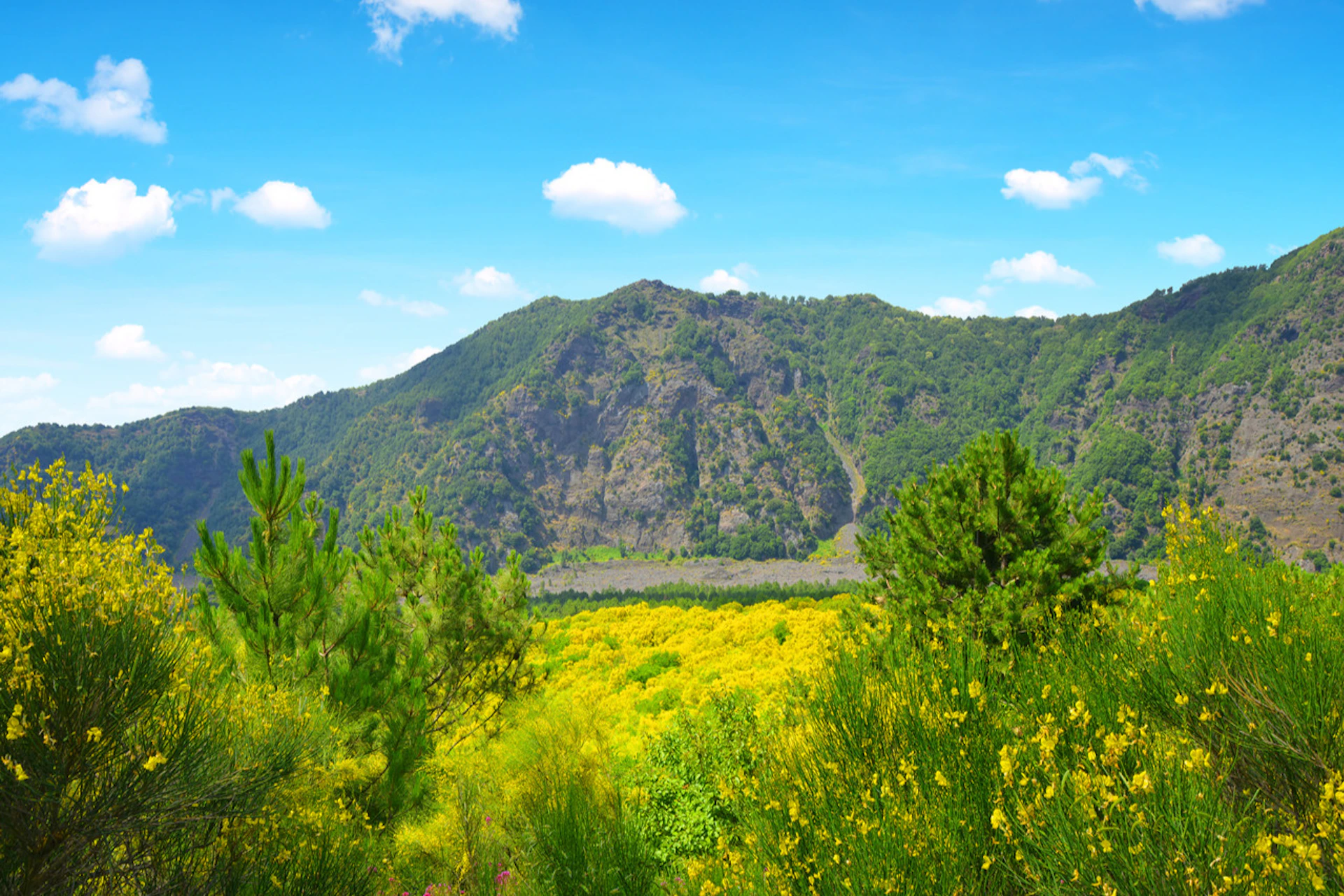 Vesuvio lanscape