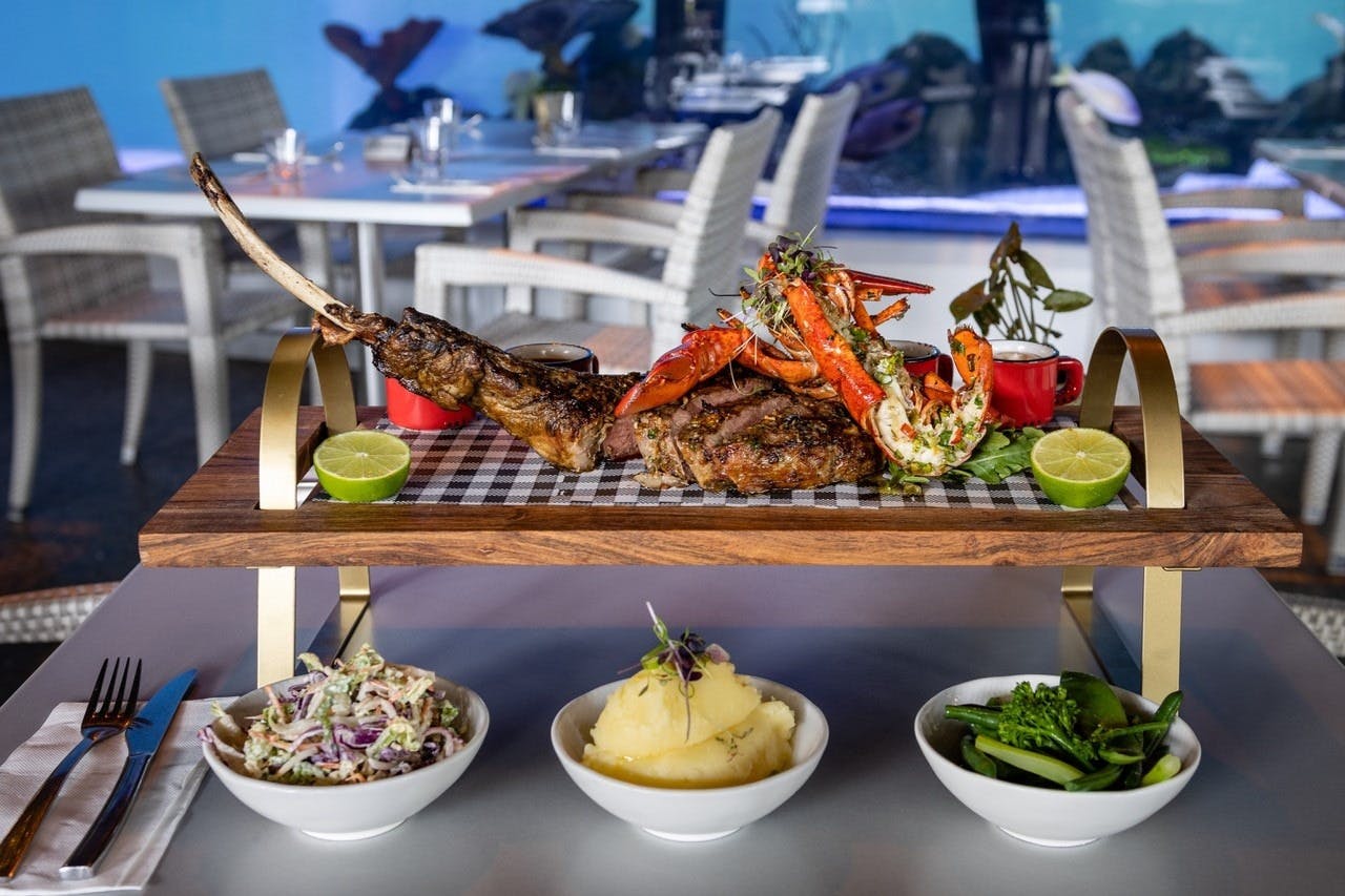 Cairns Aqua Twilight with Food Platter Tickets Tiqets