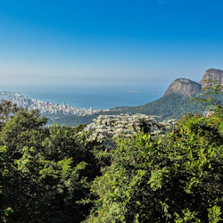 Tijuca National Park: Guided Jeep Adventure from Rio de Janeiro 2
