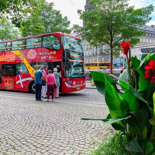 Copenhague: 72H Hop-On Hop-Off Bus + Entrada al Zoo de Copenhague