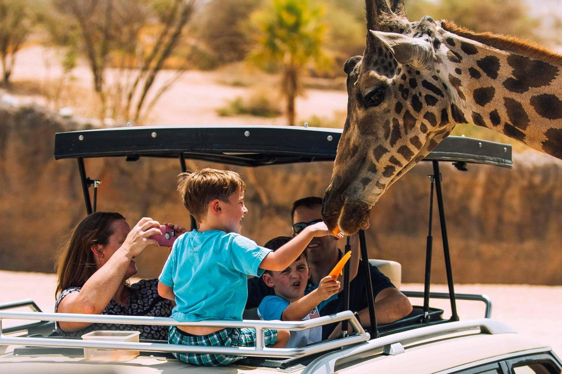 Zoológico de Al Ain: Bilhete de entrada