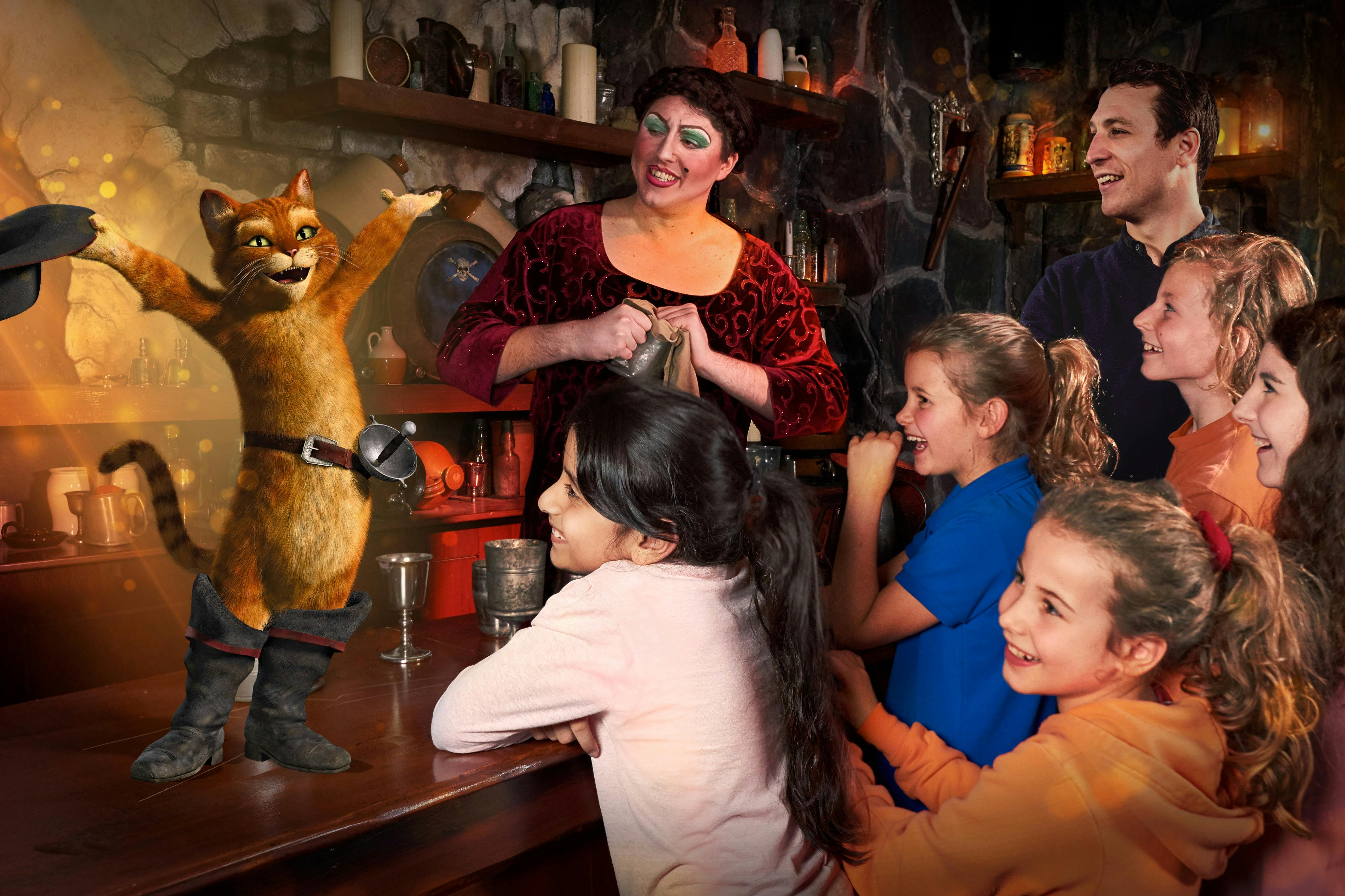 Shrek's Adventure! London: Biglietto d'ingresso — 5