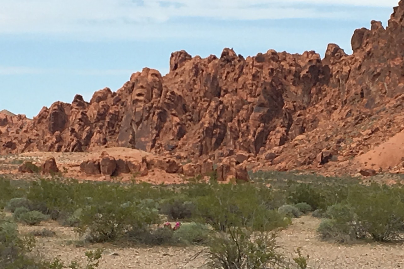Valley of Fire and Zion Park 1 Day Tour - Accommodations in Las Vegas