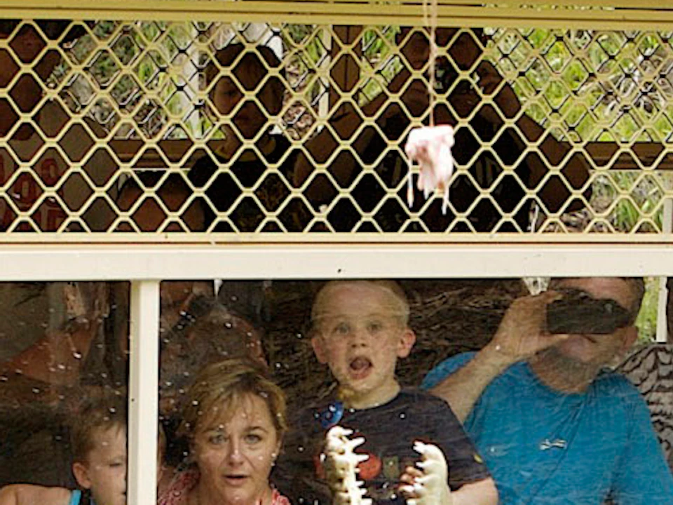 A tour boat with onlookers observes a crocodile leaping out of the water reaching for food held by a staff member.
