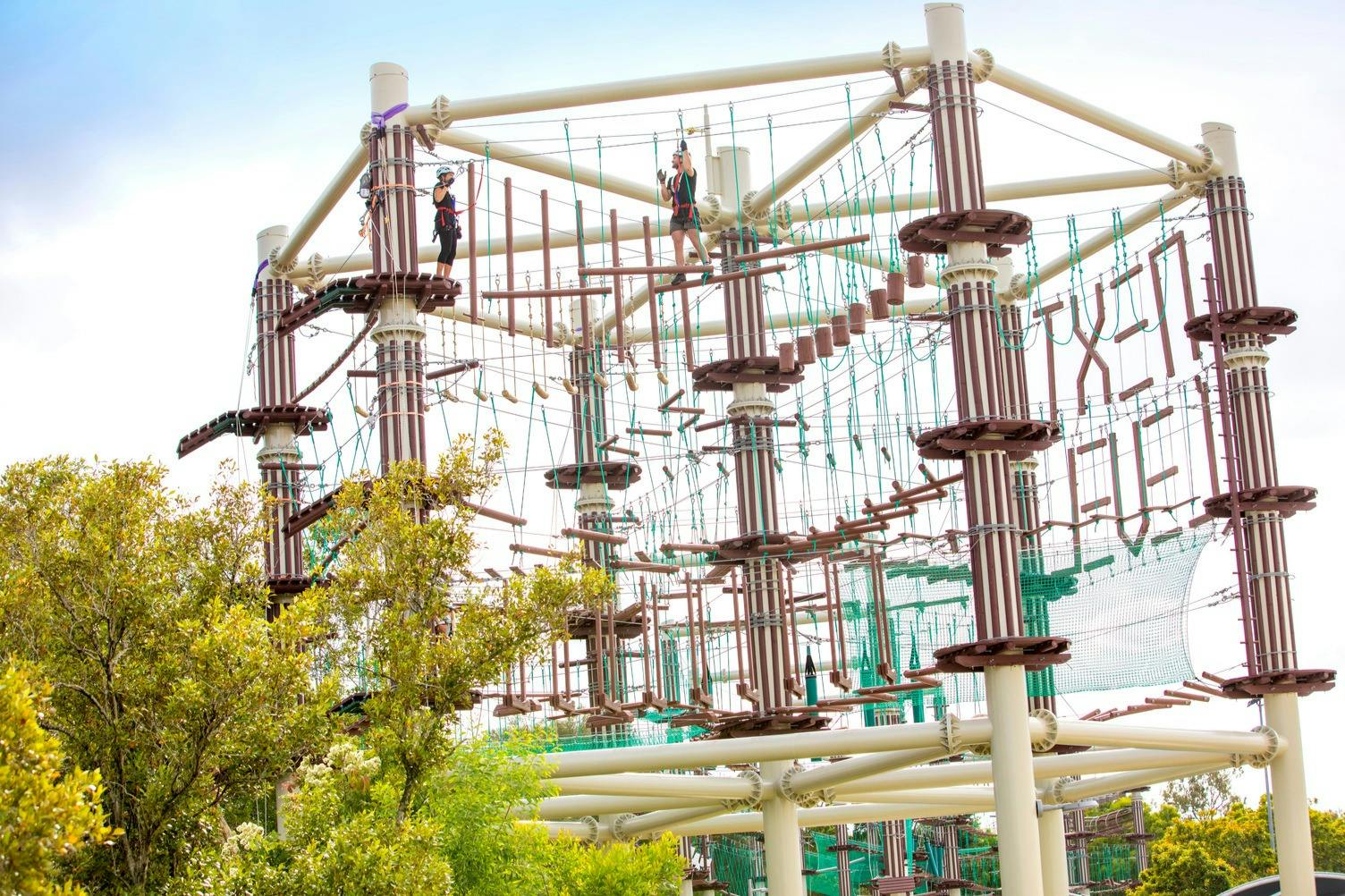 Два человека на высоком канатном курсе, перемещаясь по различным подвесным препятствиям. Структура окружена зеленой листвой.